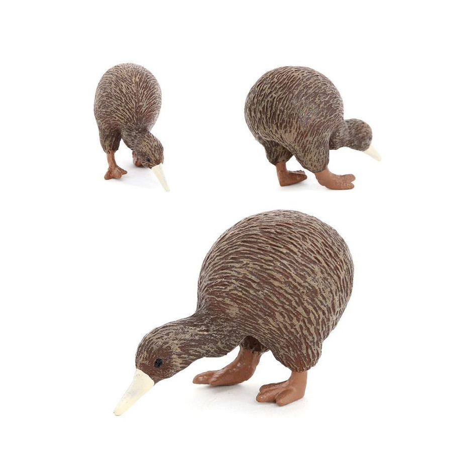 현실적인 키위 새 동물 모델 피규어 장난감 뉴질랜드 비 - Kids Toys New Zealand 리뷰 및 가격