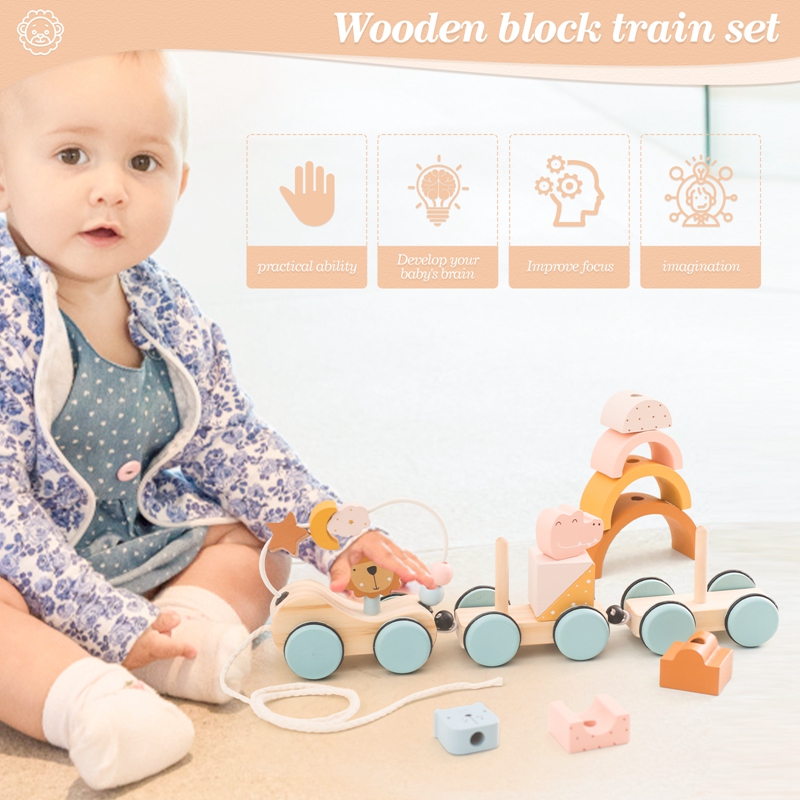 나무 몬테소리 장난감 동물 블록 기차 빌딩 블록 쌓기  - Wooden Blocks Stacking 리뷰 및 가격